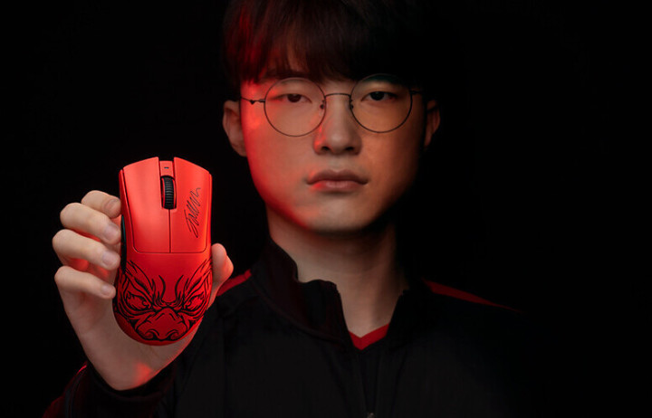 和观赏的乐 和观赏的乐