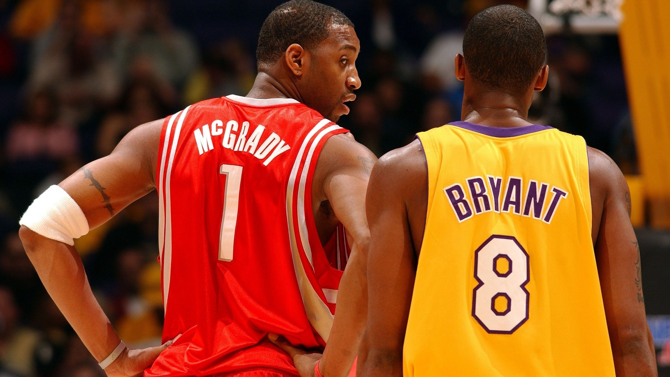 谢泼德的不 谢泼德的不